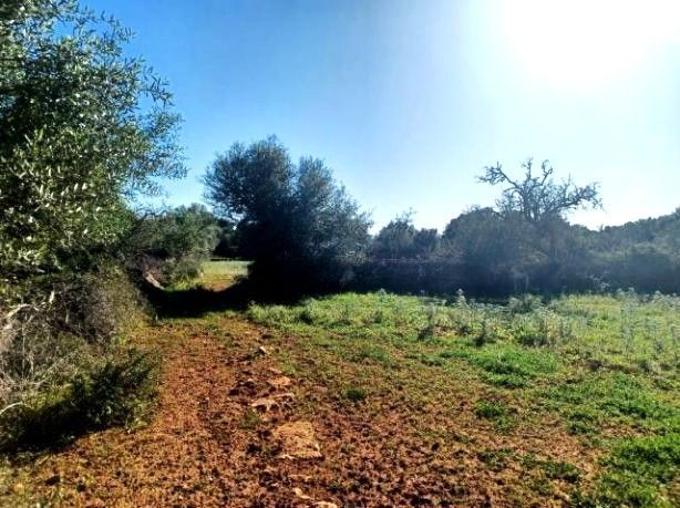 Residencial en venda en Manacor