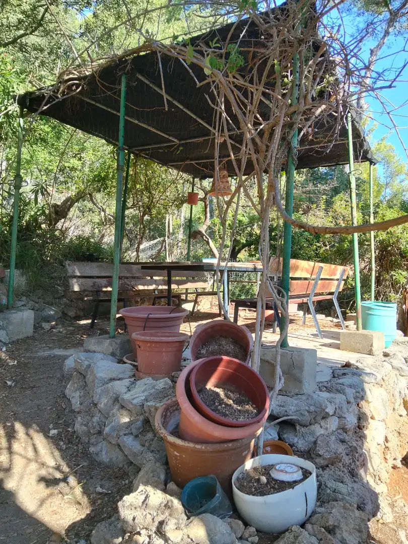 Casa rústica amb jardí en venda a Puigpunyent, imagen 4