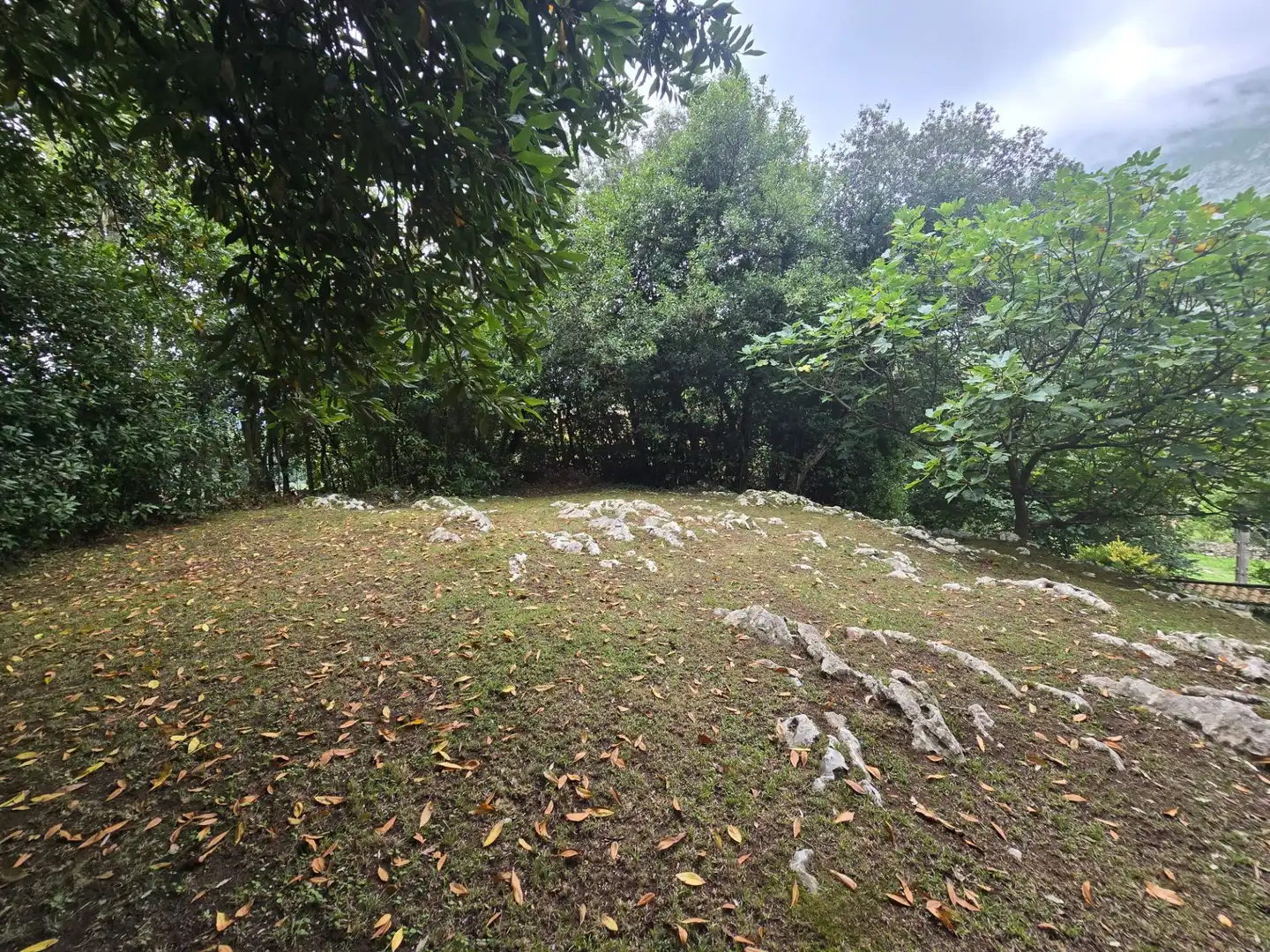 Maison avec jardin à vendre à Posada - Barro, imagen 27
