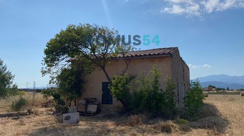 Finca rústica NO edificable con caseta agrícola en Sa Pobla, immagine 2