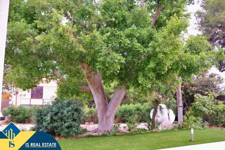 Vista exterior de Casa o xalet en venda en Alicante / Alacant amb Terrassa, Moblat i Piscina comunitària