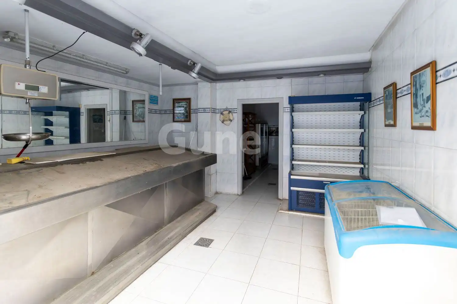 Business premises for sale in legazpi
