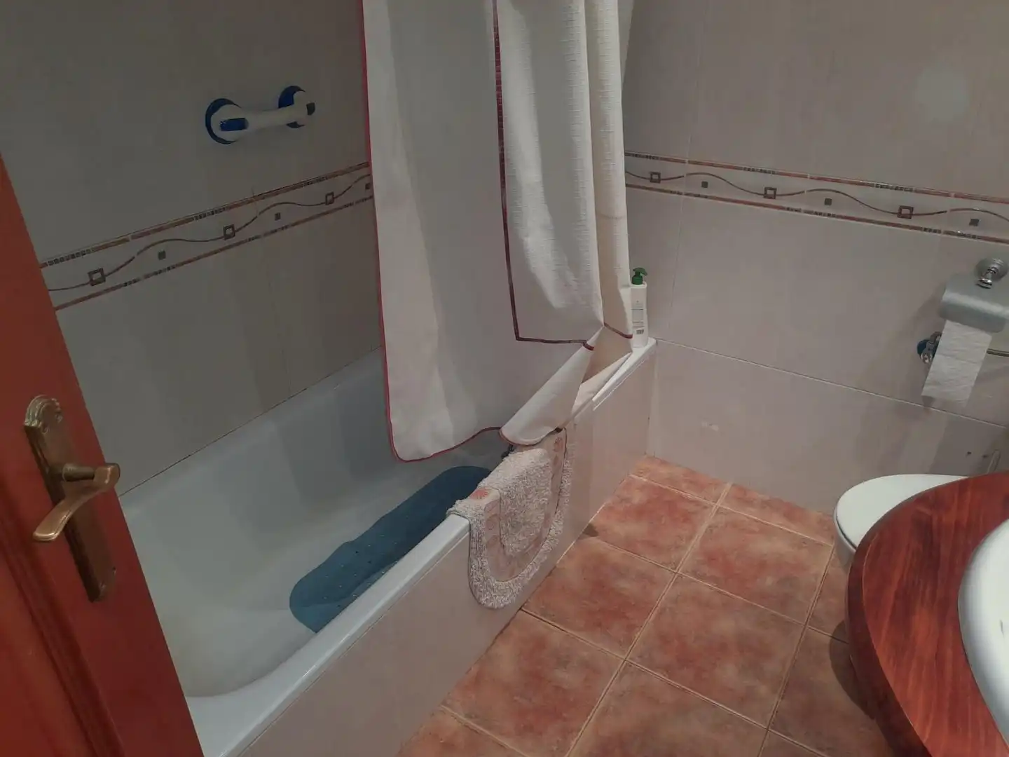 Bany de Casa o xalet en venda en Flix amb Jardí privat, Terrassa i Traster