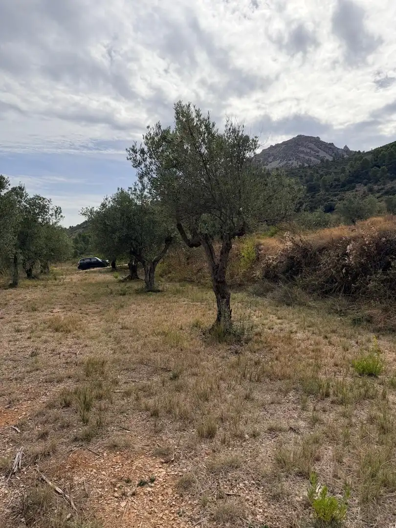 Residencial en venta en Fageca, Alicante