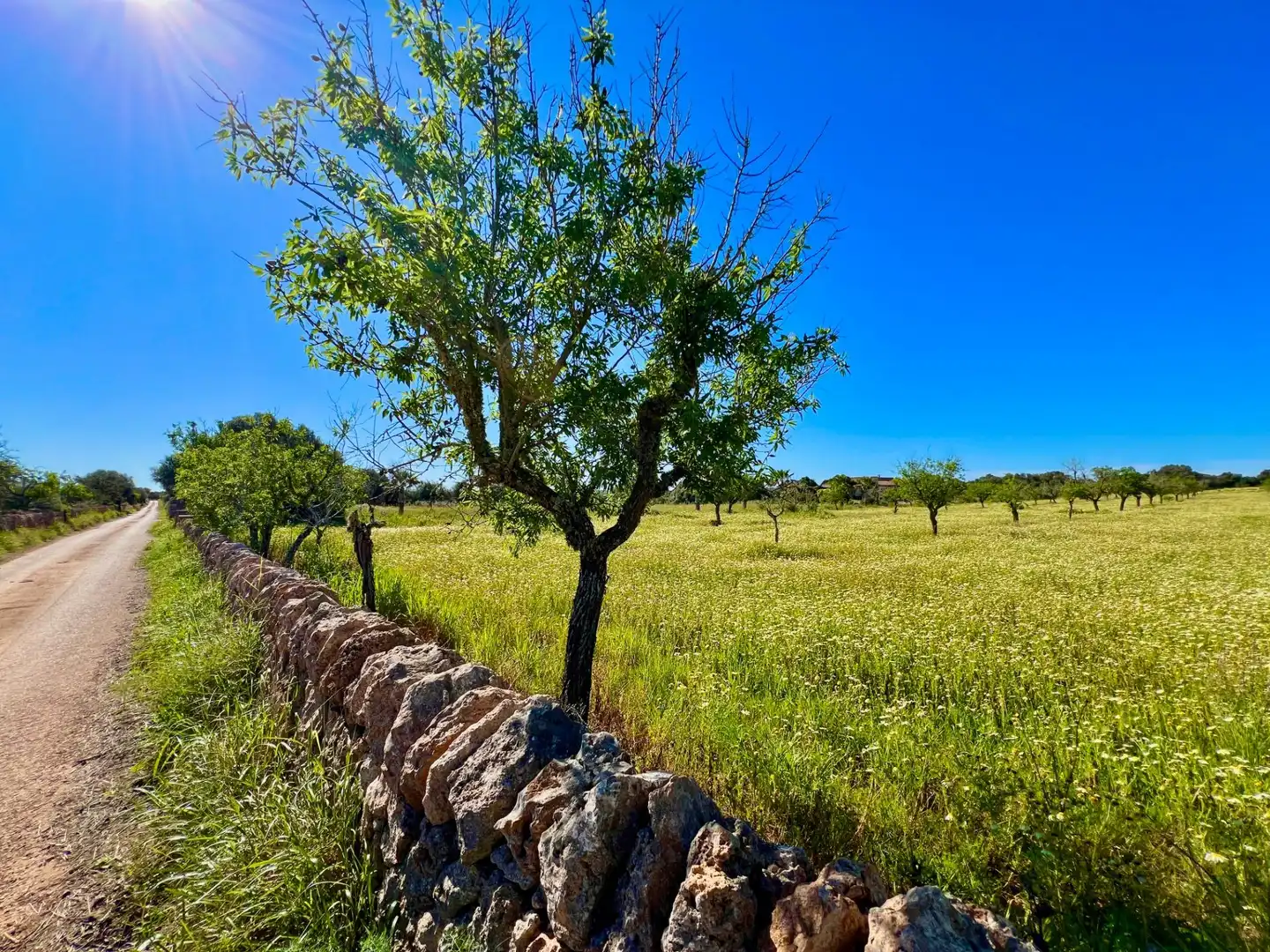 Residencial en venta en Santanyí