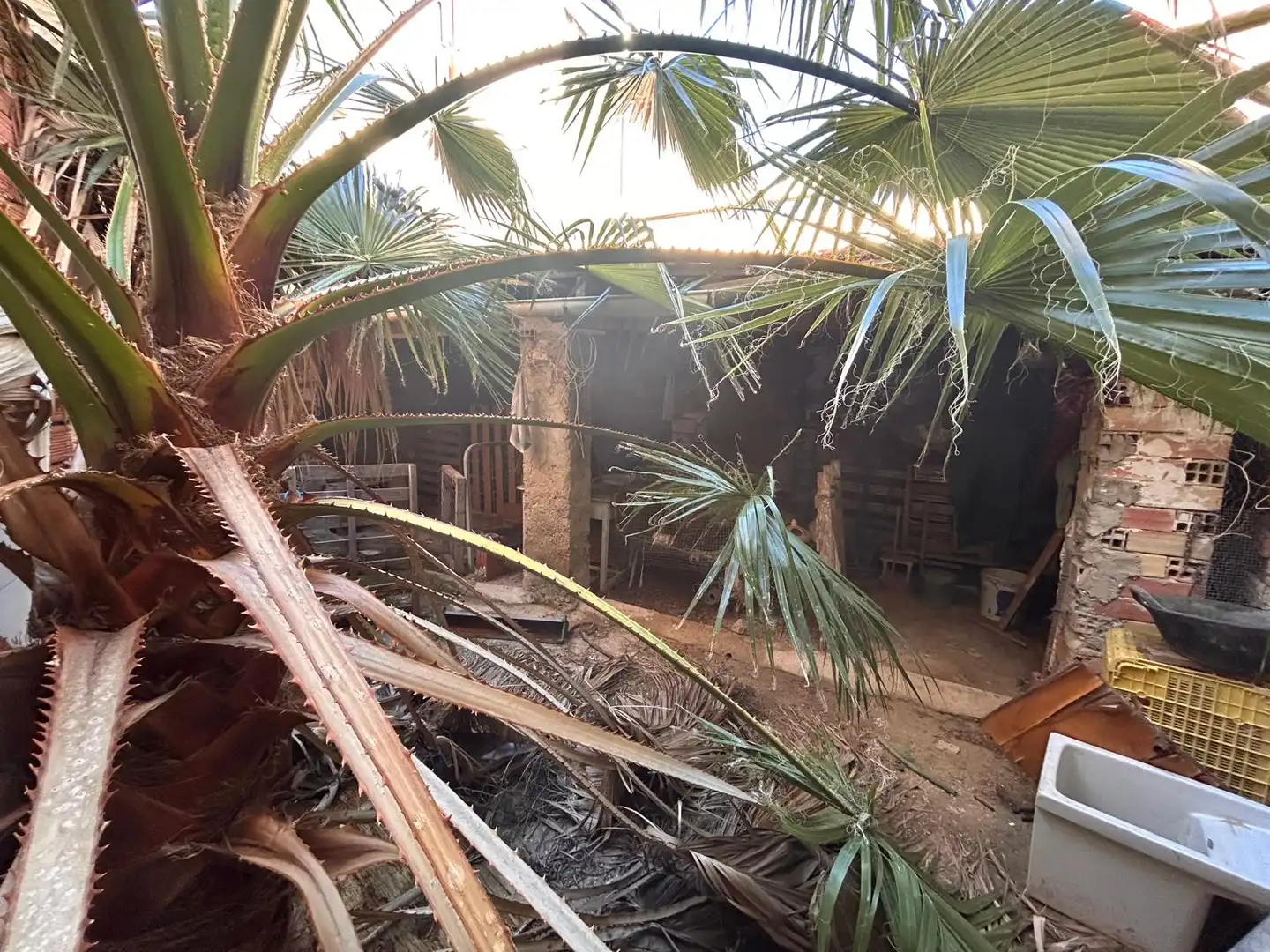 Casa amb jardí en venda a Dolores, imagen 38