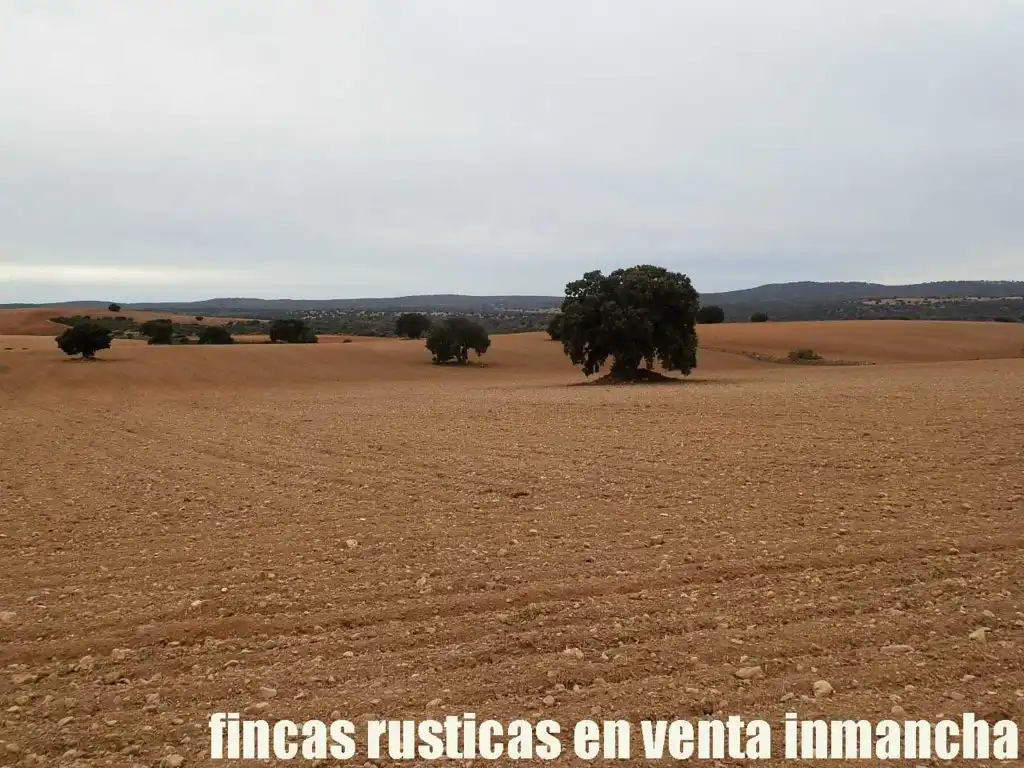 Terreny rústic en venda a Calle Albacete 10