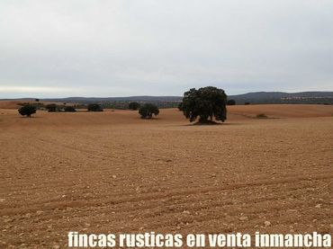 Rural land for sale in Calle Albacete 10