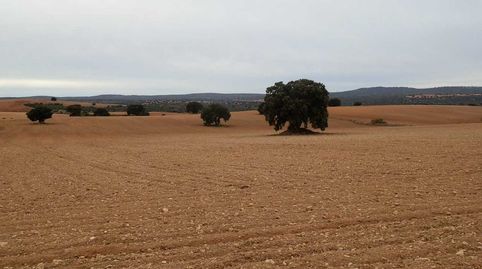 Fincas inmancha 388 has. labor caza menor en Villarrobledo (Albacete)