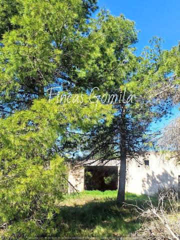 Terreno en Venta en 8 en Cervià de Les Garrigues