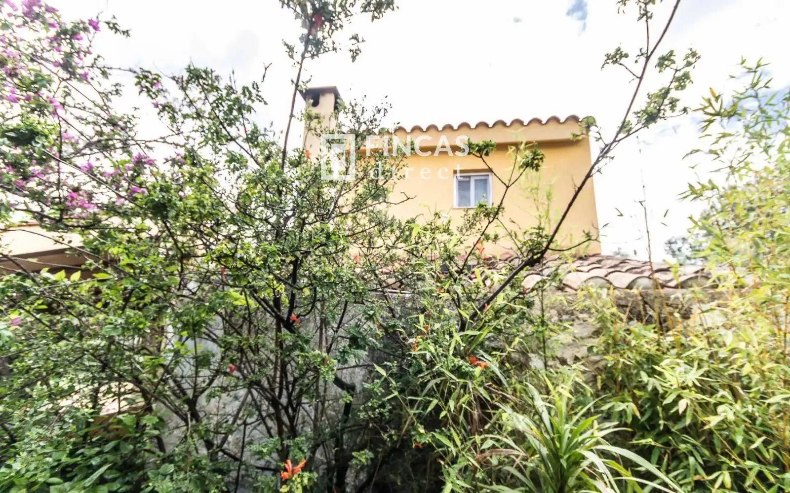 Casa rustica in vendita a RJHQ+43, imagen 25