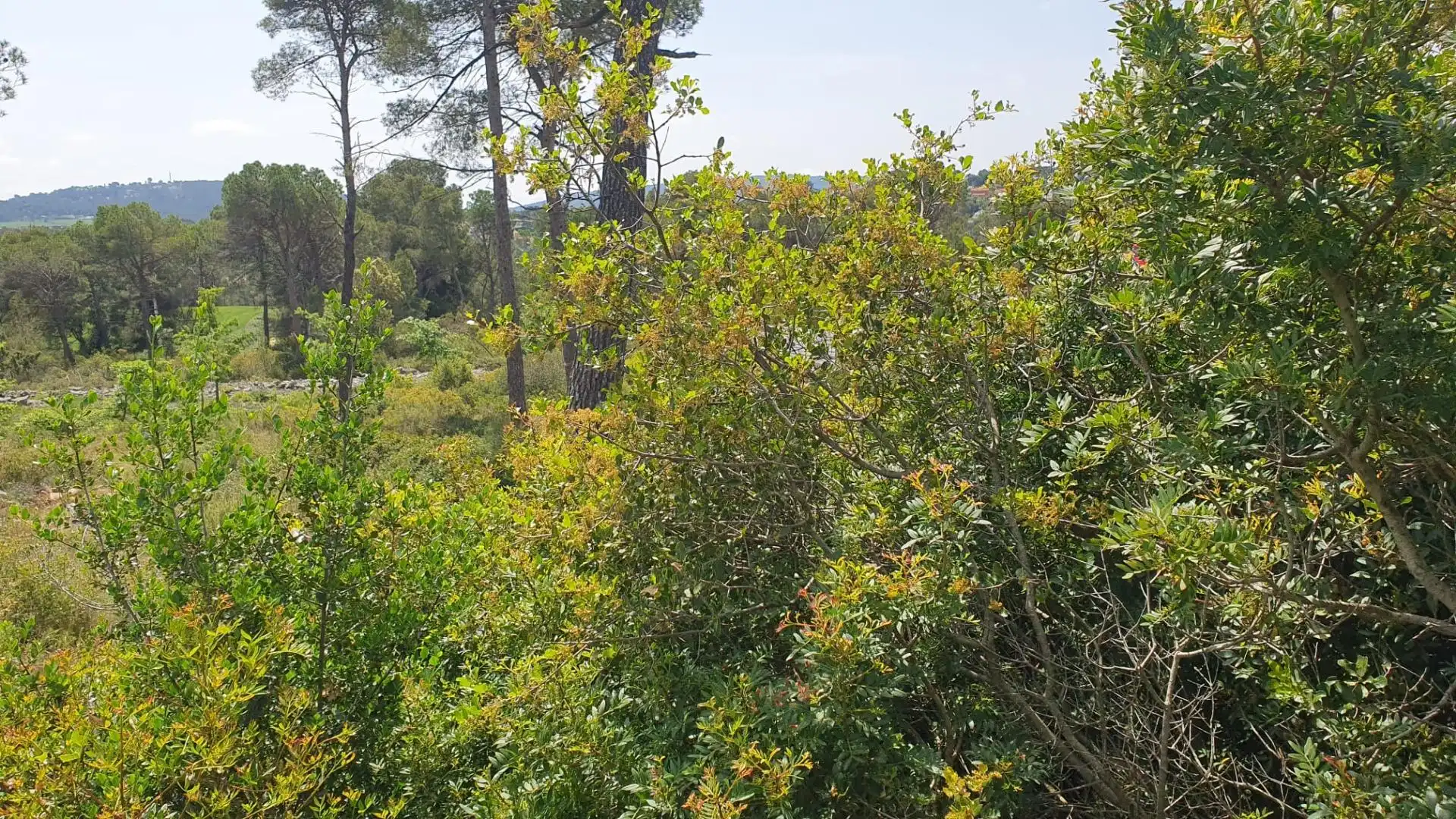 Residencial en venta en La Torre de Claramunt