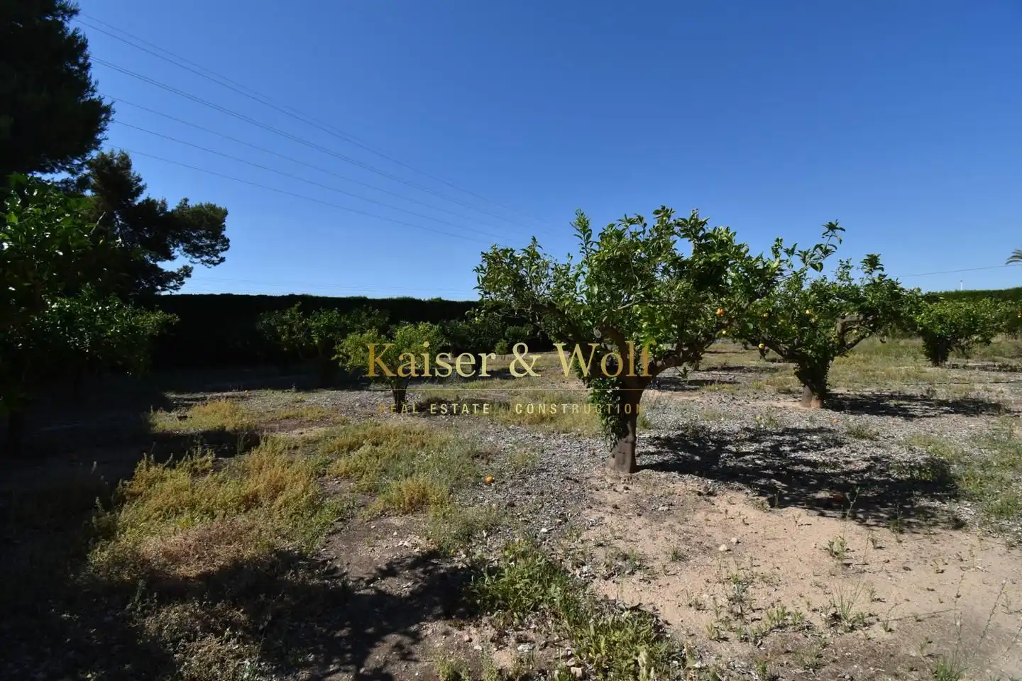Casa con piscina en venta en Partida Altabix Polígono 2, imagen 53