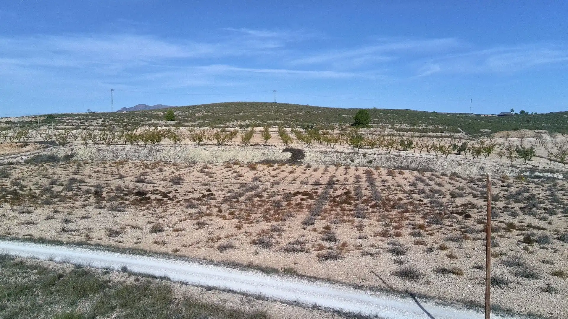 Lands and plots for sale in Abanilla, imagen 6