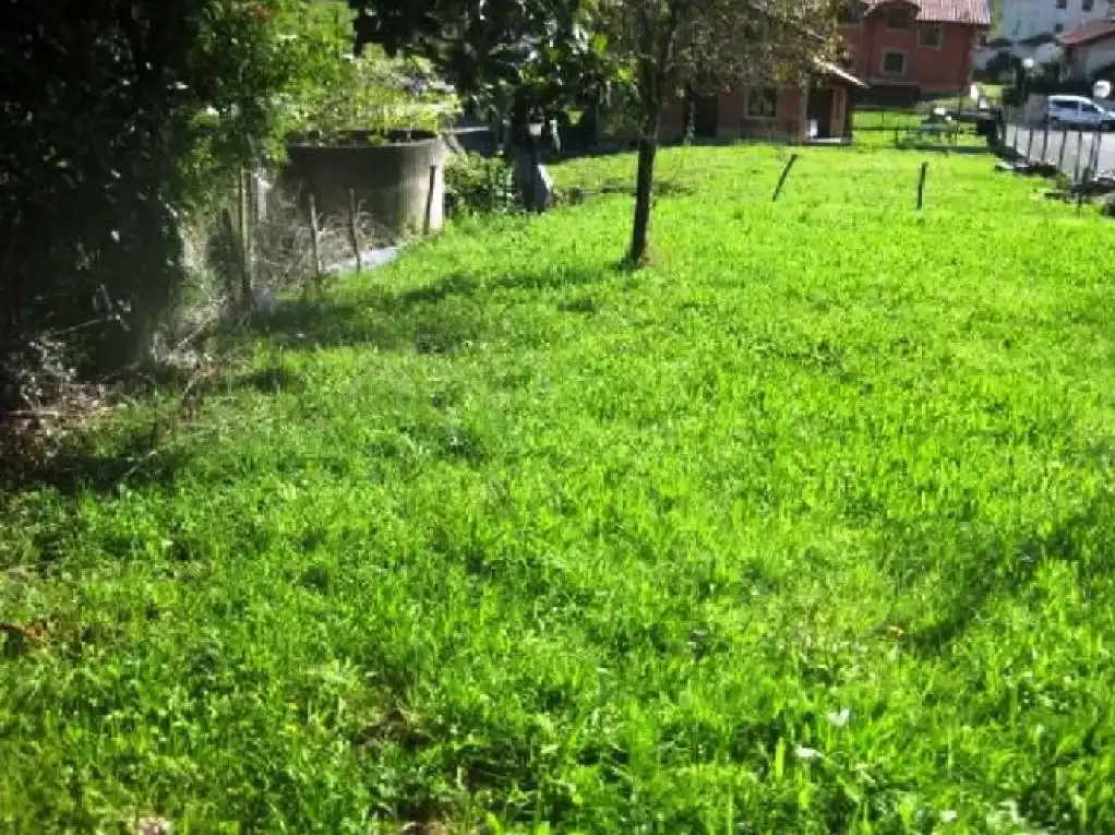 Detached homes for sale in Ampuero