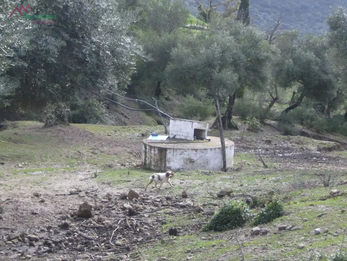 Terreni e lotti in vendita a Benaocaz, imagen 2