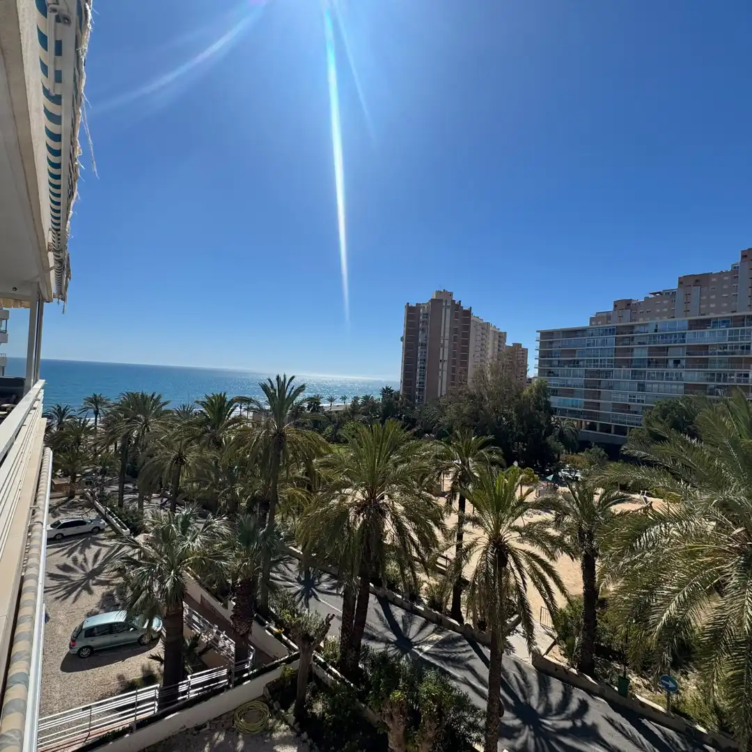 Vista exterior de Apartamento de alquiler en El Campello con Terraza, Amueblado y Horno