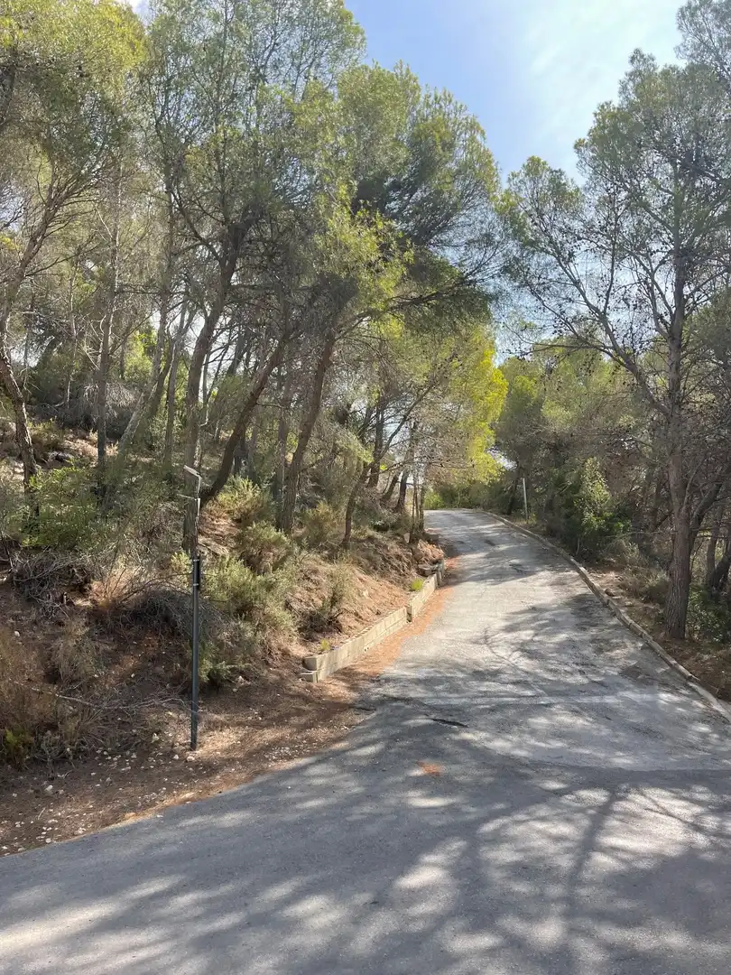 Terrenys i solars en venda a Altea la Vella, imagen 13