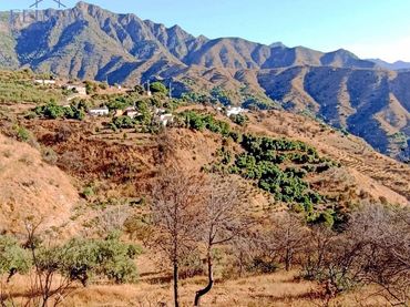 Terreno rustico in vendita a El Rescate - Río Seco