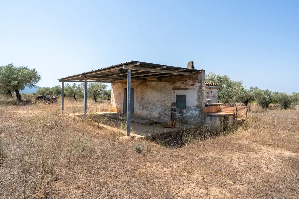 Rural land for sale in C-12 77, imagen 15