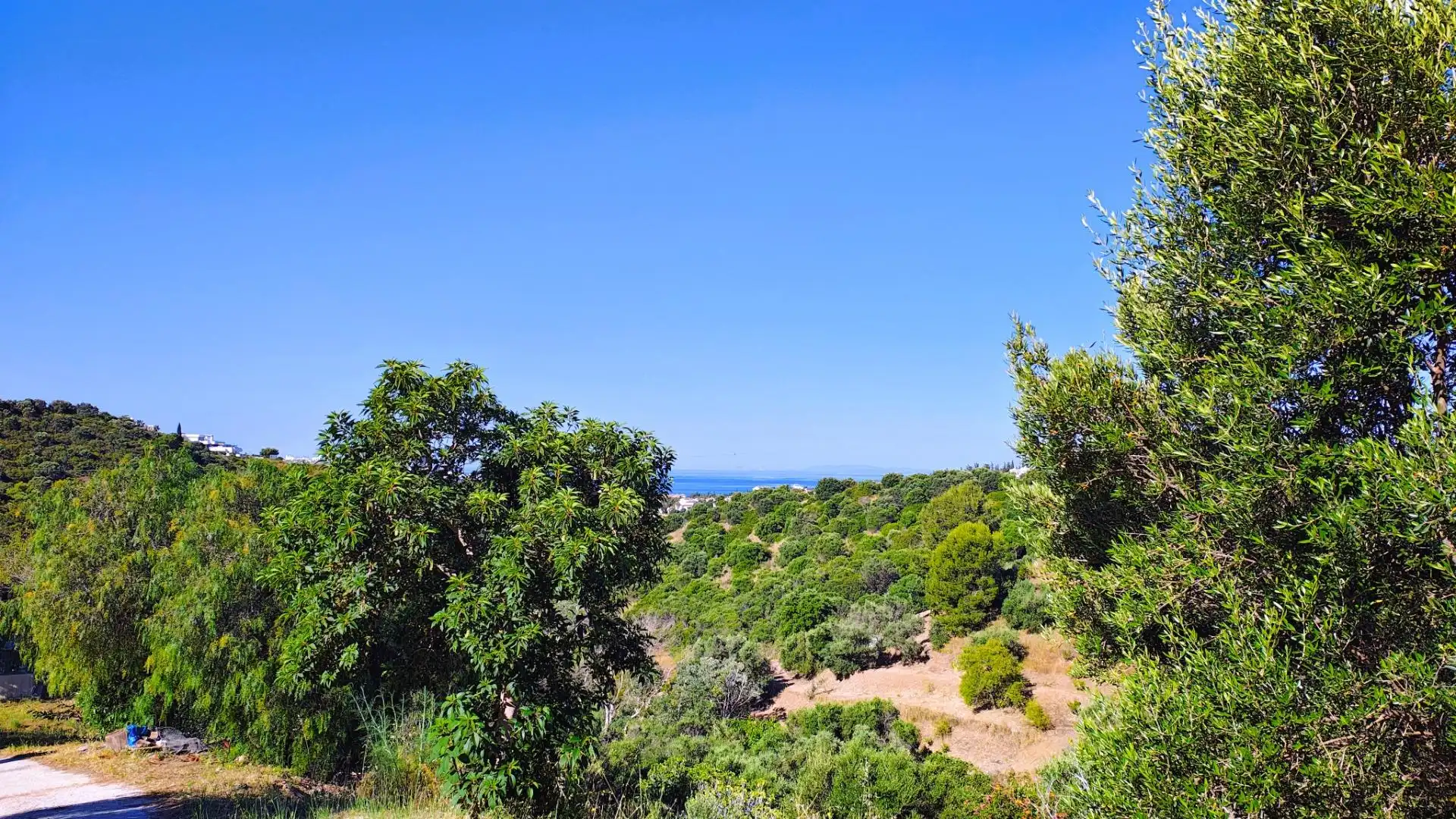Terrenos y solares en venta en PArcela 166 las chapas