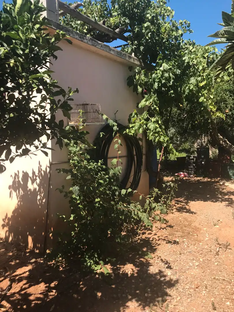 Terreno rústico en venta en Motril  ciudad, imagen 9