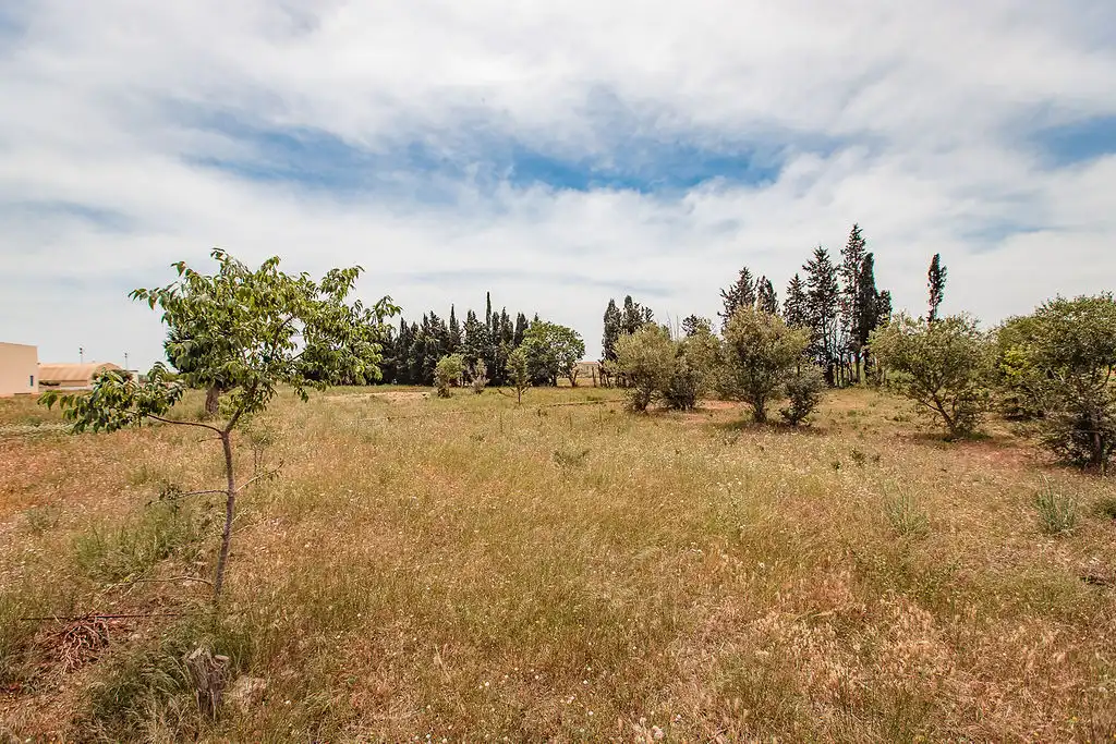 Rural land for sale in C/ Mossèn Sol, imagen 23