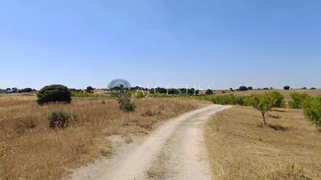 Terreni e lotti in vendita a Méntrida, imagen 12