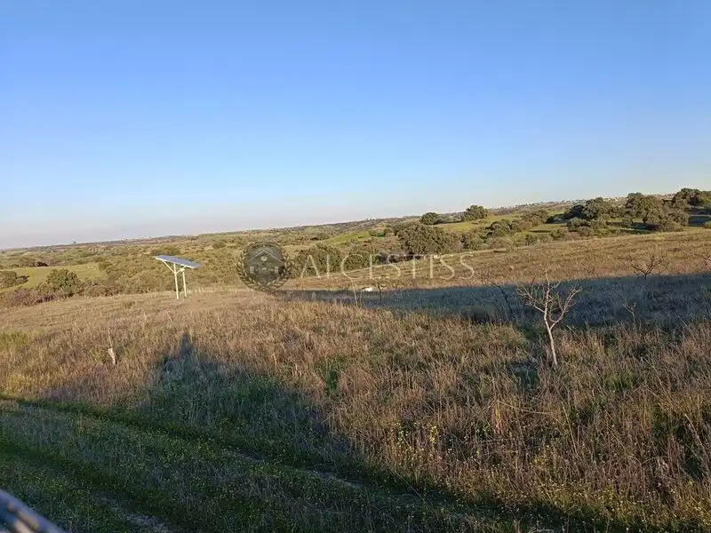 Terreno rústico en venta en Villamanta, imagen 8