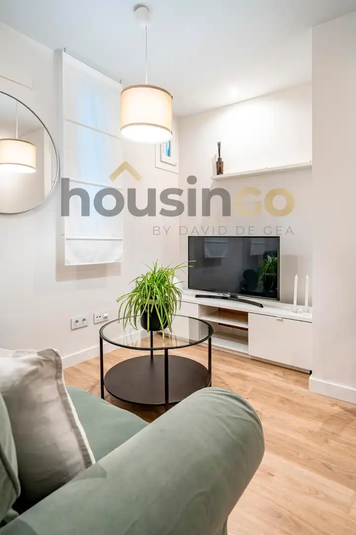 Flat for rent in General Pardiñas, Goya