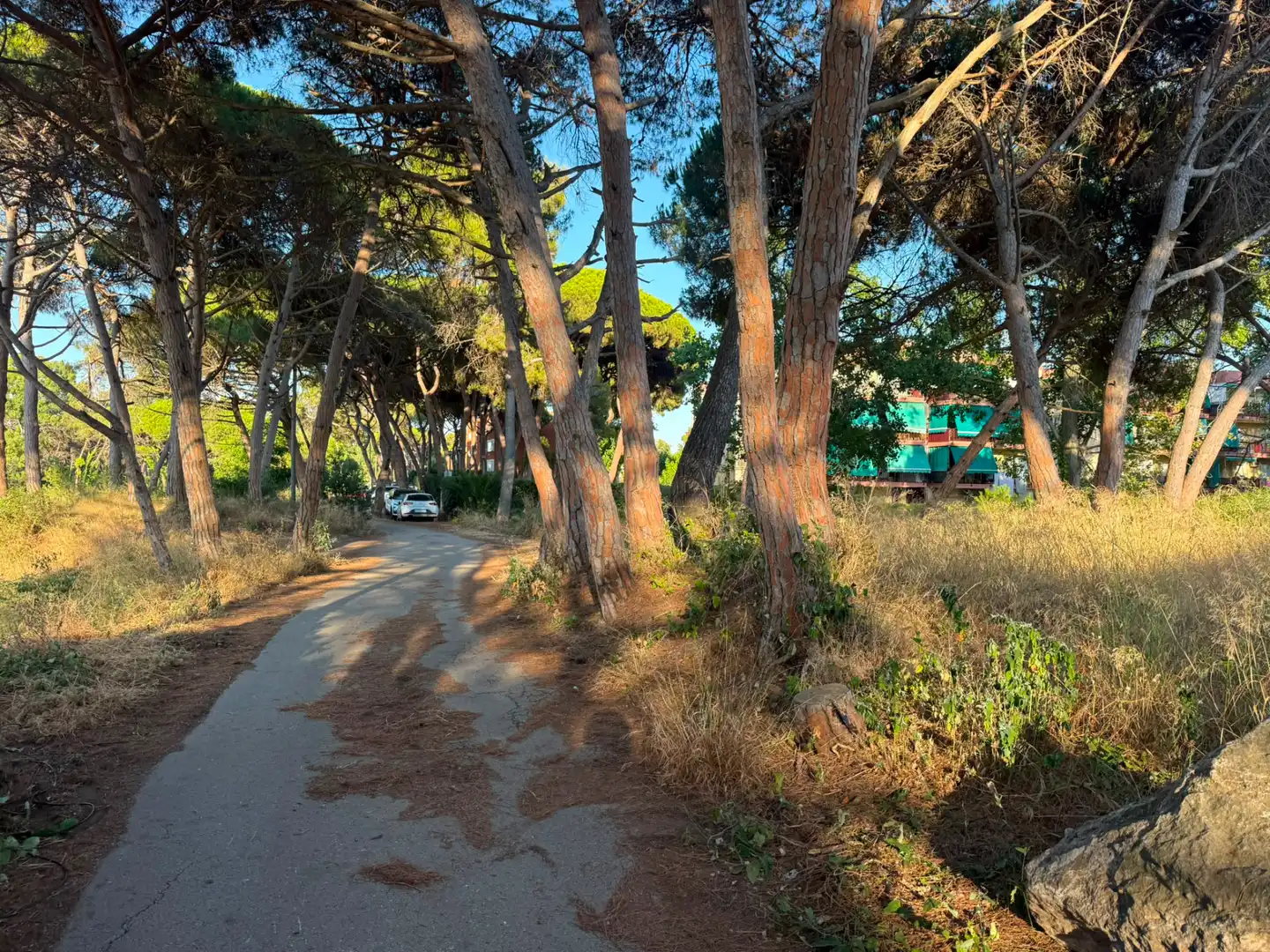 Exterior view of Land for sale in Gavà