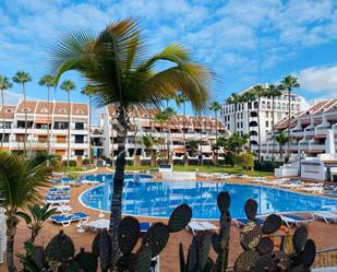 Vista exterior de Estudi en venda en Arona amb Terrassa, Moblat i Piscina comunitària