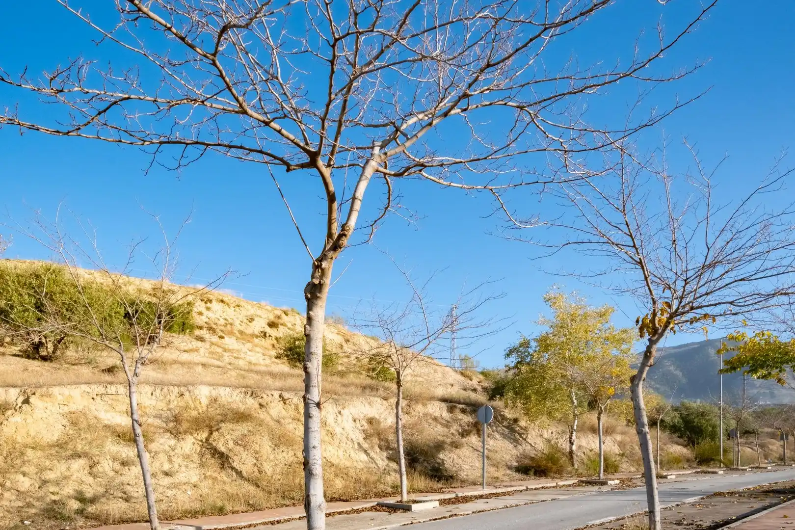 Industrial land for sale in Alfacar, imagen 17