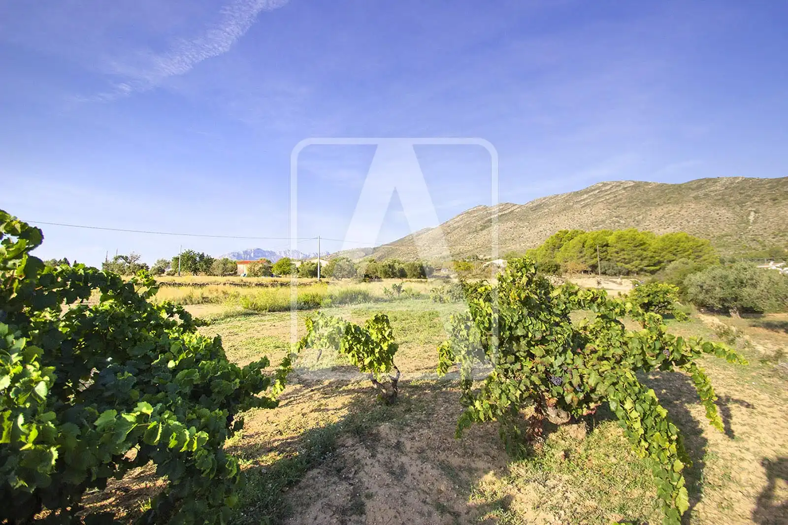 Terreny residencial en venda a Benissa pueblo, imagen 4