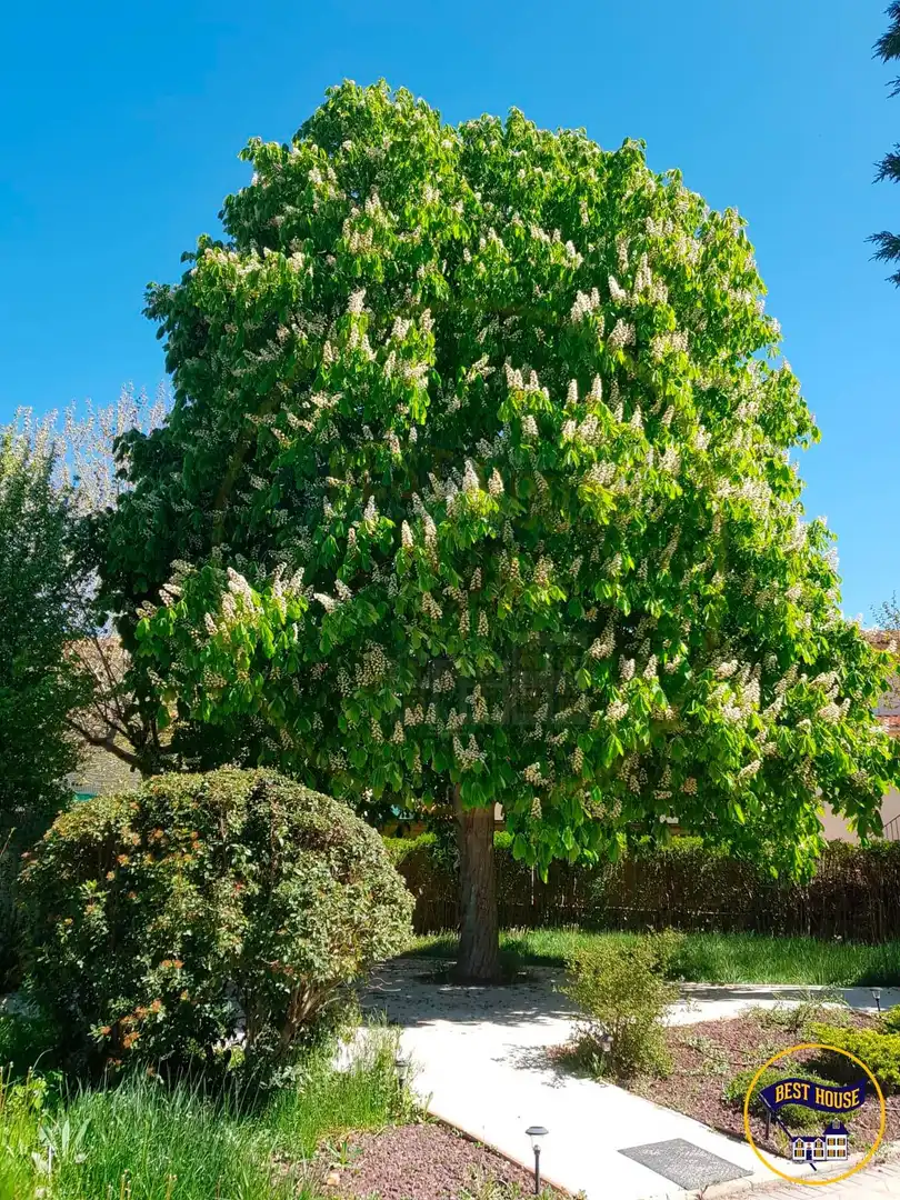 Xalet amb jardí en venda a Calle ZARCEJO (EL) (ARCAS), imagen 37