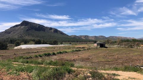 Finca Rúst. en venta en Hellín.