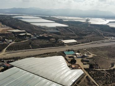 Terreny rústic en venda a Pozo de los Frailes - Presillas - Albaricoques