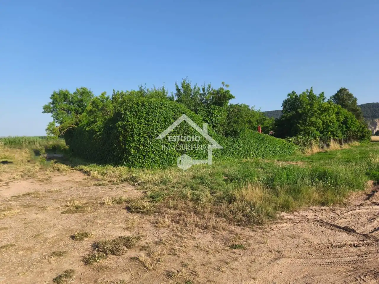 Rural land for sale in Calle carretera de la barca, imagen 5