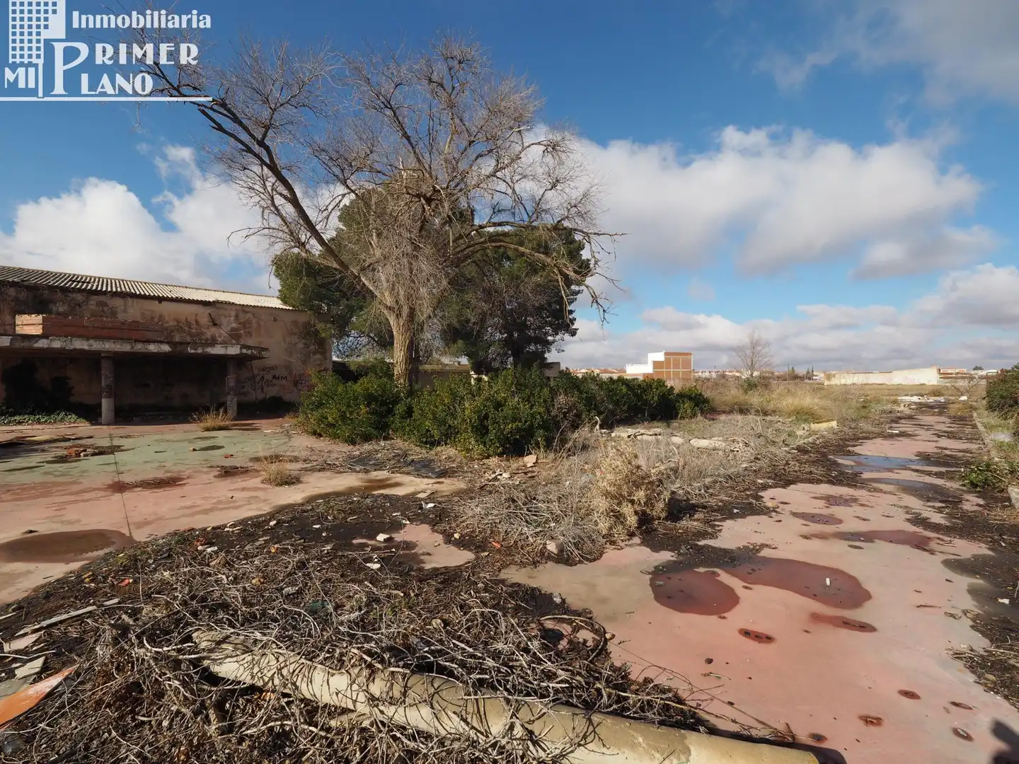 Vista exterior de Finca rústica en venta en Tomelloso con Piscina