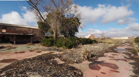 Foto 2 de Finca rústica en venta en Tomelloso, Ciudad Real