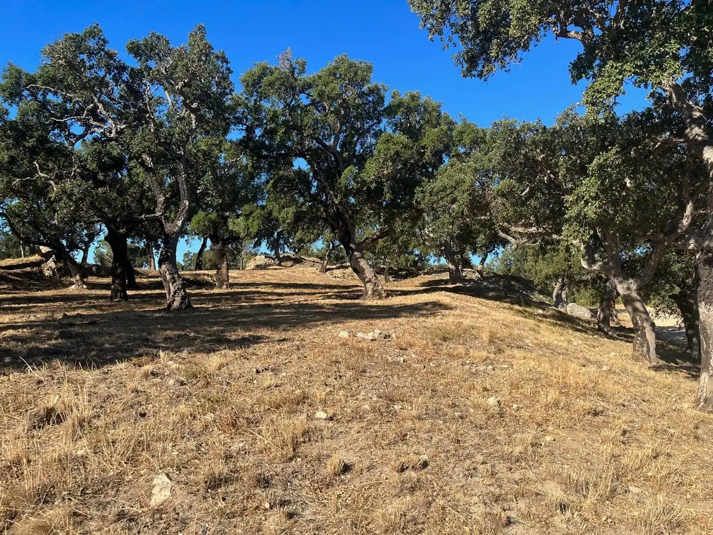 Finca rústica en venta en La Vajol con Jardín privado y Terraza