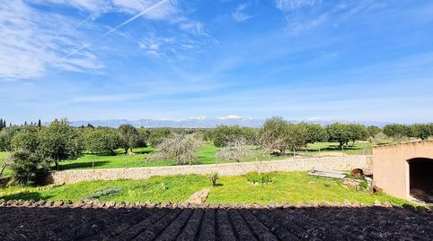 Foto 5 de Finca rústica en venta en Sineu, Illes Balears