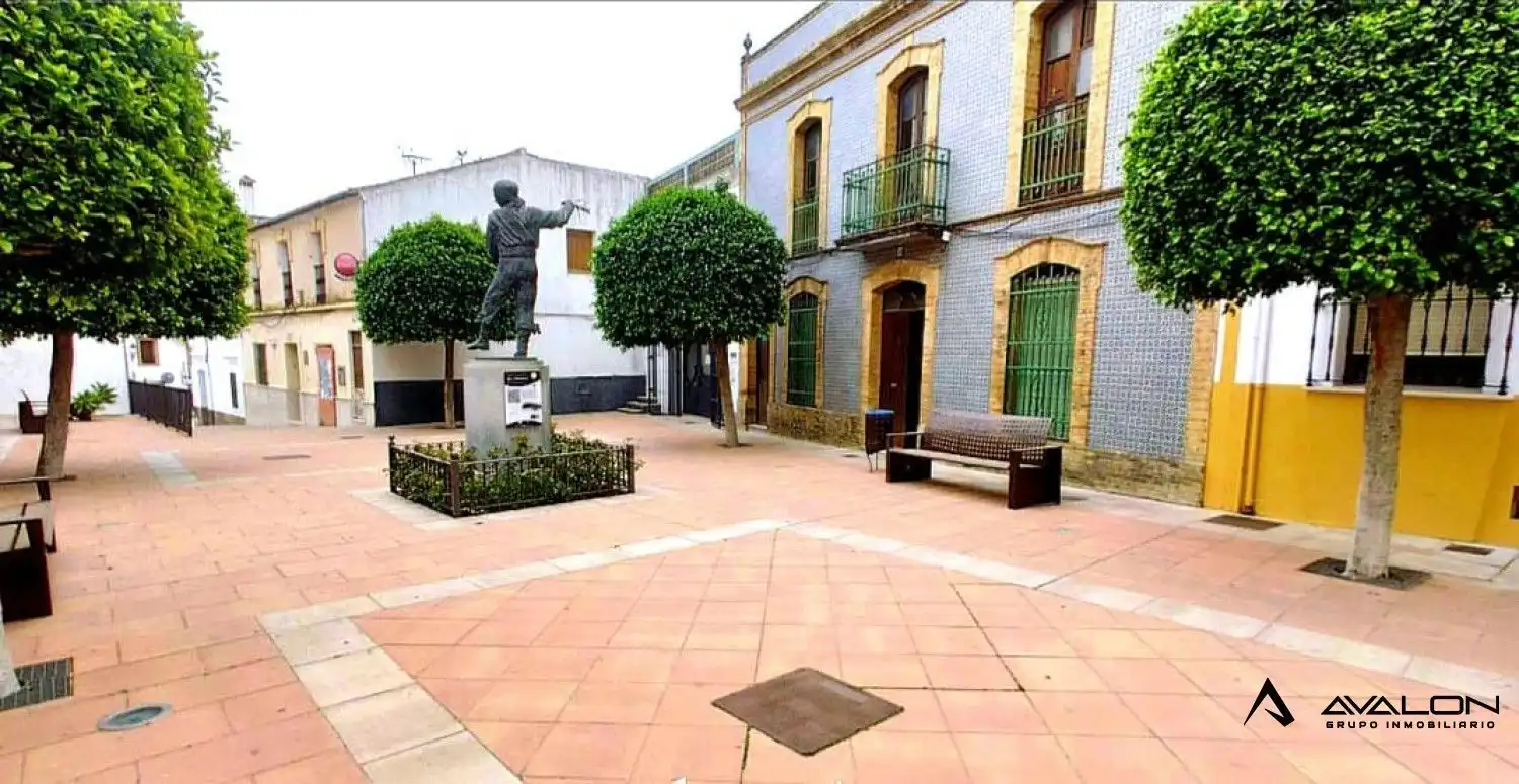 Gewerbefläche zum Verkauf in VILLANUEVA DE LOS CASTILLEJOS, imagen 2