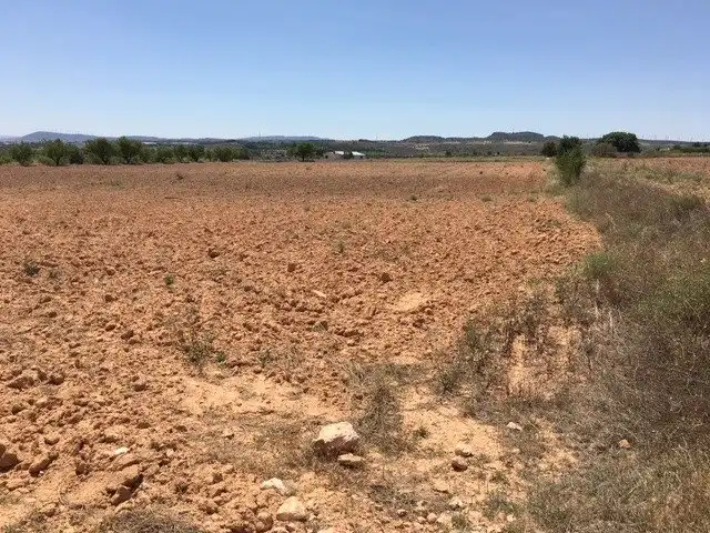 Terreno rustico in vendita a Almansa, imagen 5