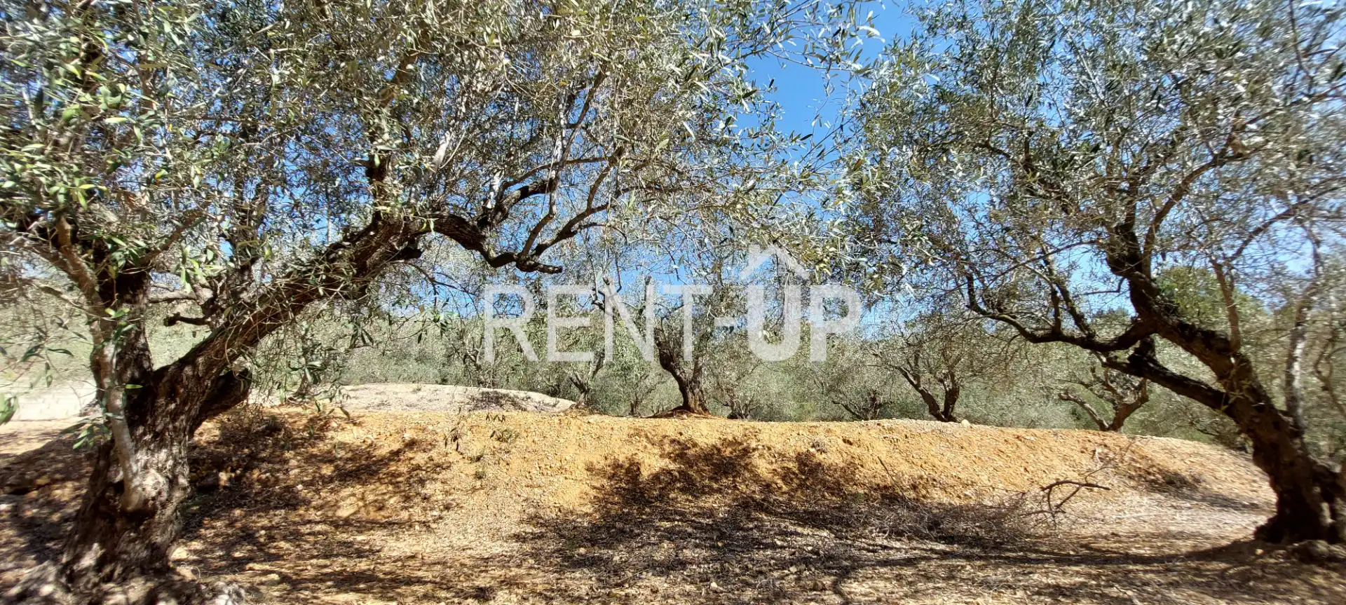 Terreny rústic en venda a Xàtiva, imagen 15