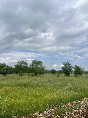 Terreno en Venta en Carretera de Carrión, 21 en Nuevo Parque