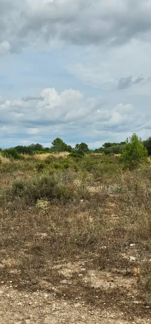 Land for sale in Móra d'Ebre