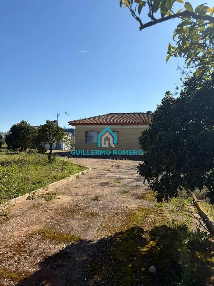 Vista exterior de Finca rústica en venta en La Puebla del Río con Jardín privado y Terraza