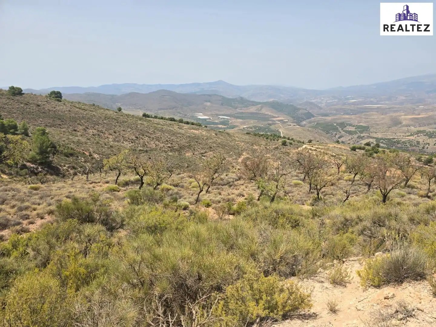 Terrain rustique à vendre à Alcolea, imagen 6