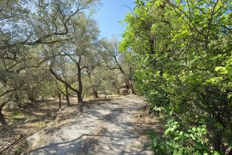 Terreno rustico in vendita a El Pinar, imagen 10